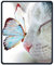 Mouse Pad Butterfly And Cat Customized Rectangle Non-Slip Rubber Keyboard Mousemat Gaming Mouse Pad