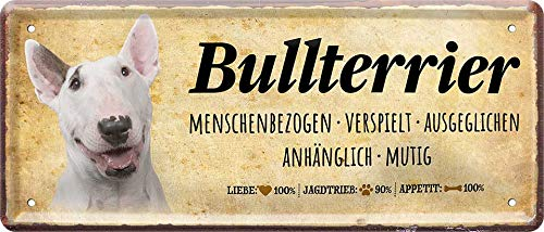 Blechschilder Spruch und Motiv Hund “Bullterrier“ Deko Hundeschild Schild Hauseingang Eingang Tor Geschenk zum Geburtstag oder Weihnachten für alle Hundebesitzer 28x12 cm