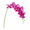 Fiori finti orchidea farfalla 1 pezzo in vera seta a doppio ramo per matrimoni, casa, ufficio, feste, hotel, cortile, arredamento festivo, decorazioni per matrimoni (viola, taglia unica)