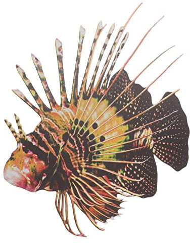 Cabilock Metallfisch-wanddekor Aus Eisen Fisch-ornament Für Zuhause Oder Garten Exquisit Und Langlebig