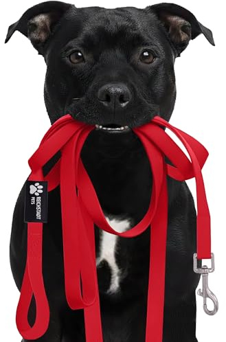 Reichstadt Pets Robuste PVC texturierte Hundeleine für Hunde – wasserabweisend, rutschfeste Oberfläche | 360° Edelstahl-Karabiner, pflegeleicht & wetterfest 25RSP085 Red 15m