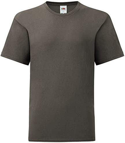 Fruit of the Loom Childrens/Kids Iconic T-Shirt (5-6 Years) (Light Graphite Grey)
