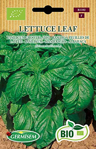 Germisem Bio Graines Basilic à feuilles de laitue LETTUCE LEAF