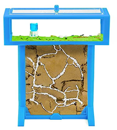 AntHouse - Formicaio Naturale di Sabbia 3D Azzurro| Kit T 15x15x1,5 cm | Formiche Incluse con Regina