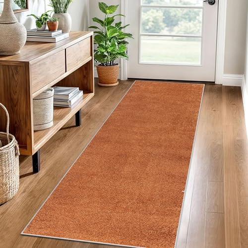 Tappeto per Corridoio Lungo 60 x 120 cm Tappeto Passatoia Cucina Antiscivolo Lavabile Tappeto Runner per Corridoio Tappeto Ingresso Casa Moderno Tappeto Passatoia per Corridoio Cucina Lavanderie