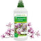 Purgrün® Magnoliendünger 1 Liter – Prächtige Blüten dank Guano – Fördert die Widerstandskraft – Premium-Dünger mit Spurennährstoffen – NPK 7+5,5+6,5 – Blütendünger für 400 Liter Gießwasser