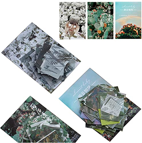 320 Stück Sammelalbum Aufkleber, Natürliche Muster dekorative Aufkleber Kleber Aufkleber Sammelalbum-Aufkleber-Set Stickerbögen für Fotoalbum Kalender Notizbuch Tagebuch DIY Dekoration