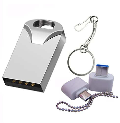 Mini USB Drives Flash Memory Sticks Thumb Drive pendrive U Disk for car Music (4GB Silver with OTG/Type-C Converter)