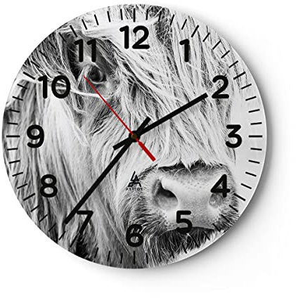 Modern Wanduhr Kuh Scotch Tier 40x40cm Rund Groß Wand Uhr Glas Analog Zimmeruhren Küche Büro Wohnzimmer Glasuhr Wall Clock Dekoration Design Wanddekoration Küchenuhr C4AR40x40-5129