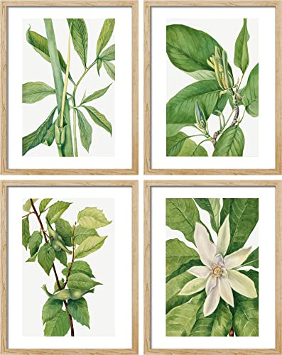 SIGNWIN Poster vert forêt plante fleur collage nature nature nature sauvage art numérique art moderne décoratif floral zen botanique pour salon, chambre à coucher, bureau - 20,3 x 25,4 x 10,2 cm