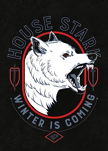 Displate - Poster aus Metall - Einfache Montage ohne Bohren - Game of Thrones - Modern Medieval - Stark Winter is Coming - Größe M - 32x45cm Matt