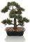 hjh OFFICE Plante Artificielle Bonsai Plante décorative Artificielle, Arbre Artificiel Facile d'entretien, Hauteur 44 cm, pin, Vert 871050