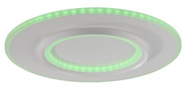 Paul Neuhaus LED Deckenleuchte Smart Home Alexa kompatibel, Downlight + Sidelight dimmbar Fernbedienung (50cm)