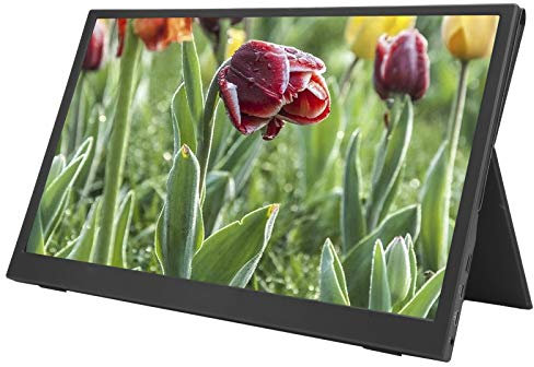 Kudoo 1080P Portable Monitor - 15.6 Inch HDR FreeSync Computer Display 1920×1080 Full HD IPS Split Screen Gaming Monitor with Type-C/HDMI, Compatible with PS/NS/XBOX/SWITCH Game Console