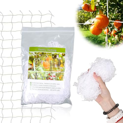 Guangcailun Garden Netting, 1.6m x 1.6m Polyester Plant Support Climbing Net, 5m x 5m Size, White