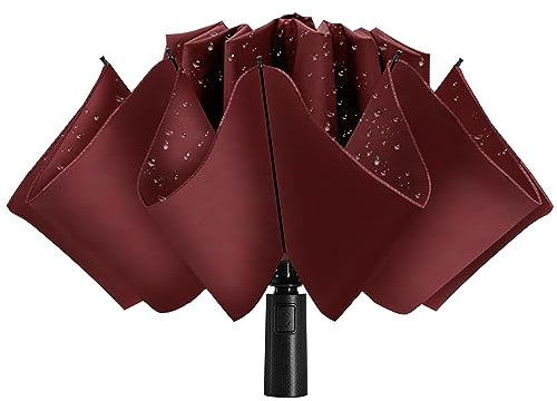 ACEIken Sturmfester Automatik Regenschirm - Kompakter,Faltbarer Taschenschirm für Herren und Damen,8 Rippen,Wasserdicht und Winddicht,Ideal für Reisen und Alltag,106/116 cm Spannweite