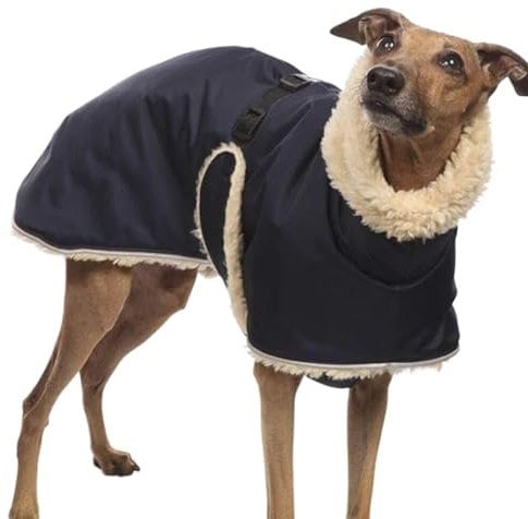 Whippet Mantel Whippet Windhund,Winter Haustier Hund Kleidung,Fleece gefütterte Hundejackewasserdichte Dicke Hundejacke Kleidung,Schwarz-XXXL
