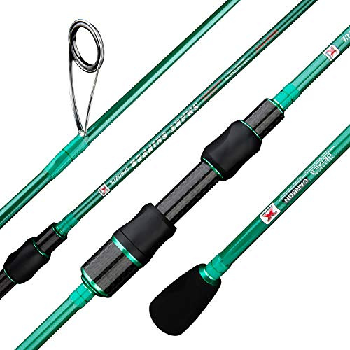 Berrypro Ultraleichte Spinnrute, Reise-Spinnrute mit Solider Karbonspitze, schnelle Aktion, 0,9–3,6 kg, 1/32–1/8 Unzen (1,8 m, 1,8 m), Ultraleicht, 2 Stück