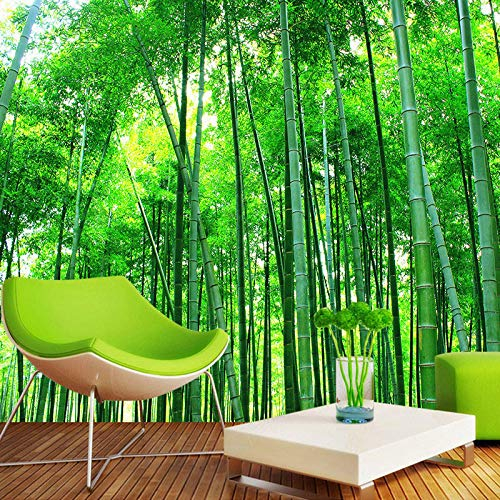 YXTSmurals Fototapete 3D Effekt Grün Pflanze Bambus Fototapeten Vlies Tapeten Wandtapete Vliestapete Wandbild Wand Schlafzimmer Wohnzimmer Büro Küche
