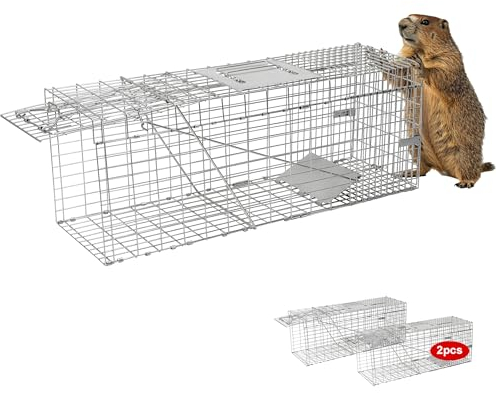 2-Pack H&B Live Animal Cage Trap,Folding 32x10x12 inch Humane Cat Trap for Stray Cats,Raccoons,Squirrel,Skunk,Mole,Groundhog,Opossums Armadillo,Rabbit,Catch and Release(Silver)