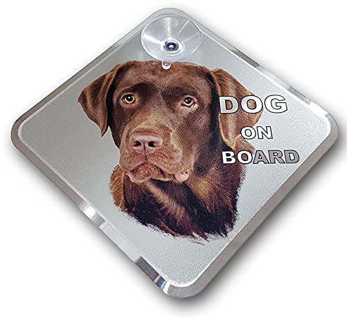 Avisa AutoTattoo Aufkleber Dog on Board - Labrador 11,5x11,5cm