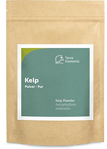 Terra Elements Kelp Pulver, 250 g I Knotentang I Braunalge I Ascophyllum nodosum I Wildwuchs I 100% rein I Vegan I Rohkost