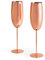 Beautify Champagne Flutes, Set of 2 Copper Stainless Steel Processco Glasses, 250ml Long Stem Champagne Glasses, Shatterproof Wine Glasses
