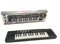 Tastiera Elettronica 32 Tasti Pianola cm 44 Pianola per Bambini Pianola Tastiera Giocattolo Funzionante