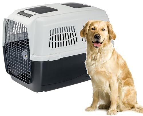 Ferplast Hundetransportbox CLIPPER PLUS, IATA- Hundetransportbox, große Hundetransportbox max 45 kg, sicherer Verschluss, mit Doppelfach für Zubehör, abnehmbarer Griff, 93 x 65 x h 68 cm