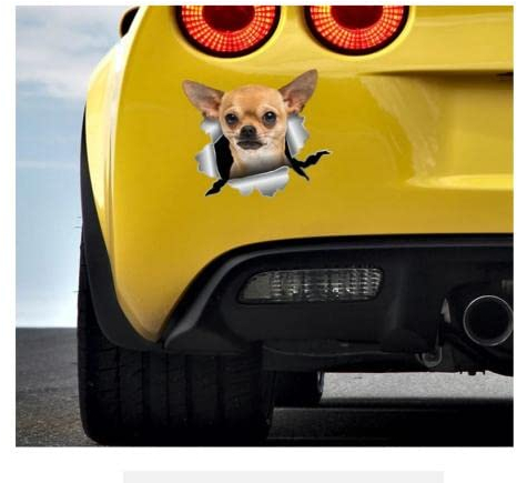 Autoaufkleber Hund Personalisiert 21Cm(8.6 Inches)Chihuahua Aufkleber Knurrender Chihuahua Aufkleber Chihuahua Autoaufkleber Chihuahua Autodruck Dame Autoaufkleber Mädchen Autozubehör Hund(def1m5535)