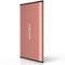 Maxone Externe Festplatte tragbare 250GB-2,5Zoll USB 3.0 Backups HDD Tragbare für TV,PC,Mac,MacBook, Chromebook, Wii u, Laptop,Desktop,Windows (250GB, Pink)