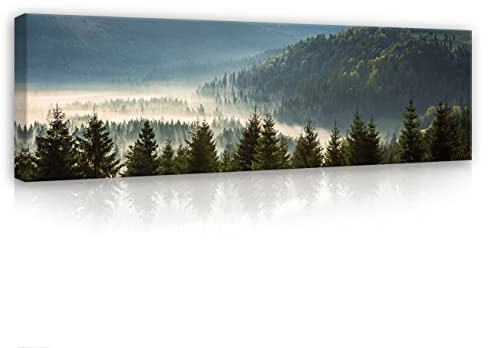 WallArena Leinwand Bilder 145x45 cm | Wald im Nebel Natur Landschaft, Leinwandbilder, Bild auf leinwand, Format: 145x45 cm (BxH) - einteilig auf Canvas