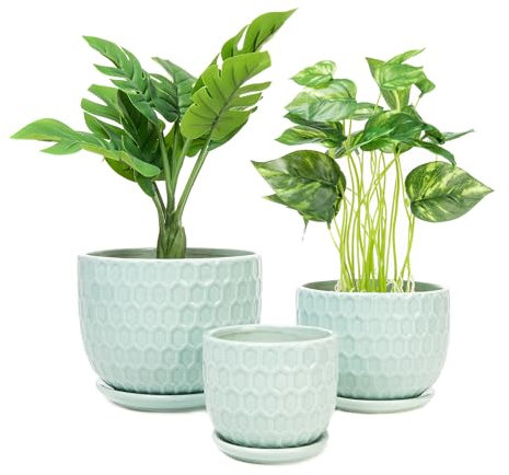 Nattol Ceramic Flower Pots with Drainage Hole and Saucer, Modern Round Succulent Planters with Honeycomb Inspired Texture Design, Small to Medium Sized, Set of 3, Green