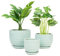 Nattol Lot de 3 pots de fleurs ronds en céramique avec trou de drainage et soucoupe, style moderne avec texture inspirée du nid d'abeille, taille S à M, vert