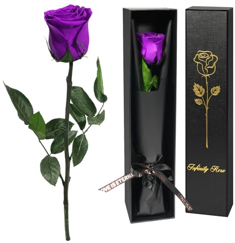 Yamonic Rosa Stabilizzata Regalo Donna,Rosa Eterna con Steli Regalo per Donne Compleanno,Idee Regalo per Lei,Regalo Donna Natale San Valentino Festa della Mamma,Regalo Mamma Natale,Vera Rosa Viola