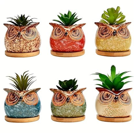 Set 6 Pezzi Vasi In Ceramica Fiori Piante Grasse Gufi Con Sotto Vaso In Bambù Foro Centrale Cactus Decorazione Interno Esterno Casa Vasetto Con Foro Scarico Fioriera Contenitore - 3Civette