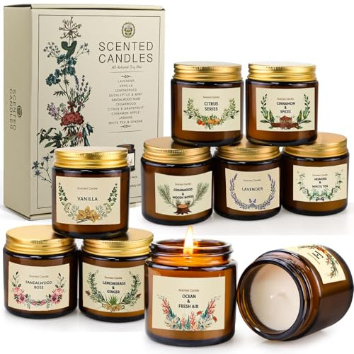10 Stück Duftkerzen Geschenkset für Frauen, 10 Duft set Duftkerze im Glas,Sojawachs kerze geschenk 10 * 100g,250Std,Stressabbau Aromatherapie Set für Weihnachten Geburtstag Bad Spa Meditation