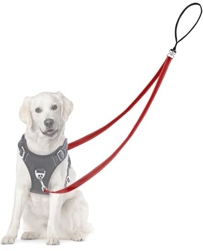 Adiwo Anti Zug Hundegeschirr, Keine Verwicklung Reflektierend Doppelleine, für große mittlere Hunde Anti-Zieh Geschirr Hundeleine, Rot