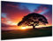 DARO Design - Wand-Bild auf 6mm HDF 84x56cm Einsamer Baum im Sonnenuntergang - Wand-Deko Bilder Geschenk