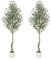 Litake Olivenbaum Künstliche Pflanzen 150cm mit Weiß Topf für,Kunstpflanze Pflanzen Groß,Home,Wohnzimmer,Schlafzimmer Büro DekoModerne Dekoration Housewarming Geschenk (180cm-2pcs)