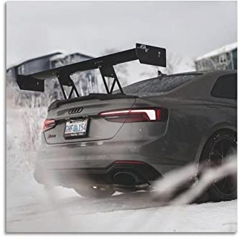 HALOUB Sportauto-Poster für Audi RS 5 Rennwagen, dekoratives Gemälde, Leinwand, Wand- und Kunstbild, Dekoration, 30 x 30 cm