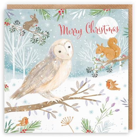 Hunts England - Frohe Weihnachten Eule Familie Spaß Karte für Jungen, Mädchen, Männer, Frauen – Naturschätze – für Kinder, Erwachsene – Happy Animal Wildlife Weihnachtskarte – Rotkehlchen, Maus,