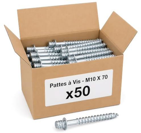 50 Pattes à Vis - M10 X 70