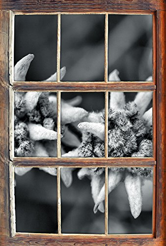 Stil.Zeit Monocrome, Weißes Edelweiß Fenster im 3D-Look, Wand- oder Türaufkleber Format: 62x42cm, Wandsticker, Wandtattoo, Wanddekoration