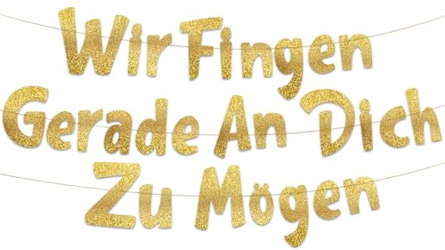 Goldenes Glitzer-Banner mit Aufschrift Wir Fingen Gerade An Dich Zu Mogen – Going Away Party – Umzugsparty – New Job – Will Miss You – Lustiges Partyzubehör für den Ruhestand, Geschenke und