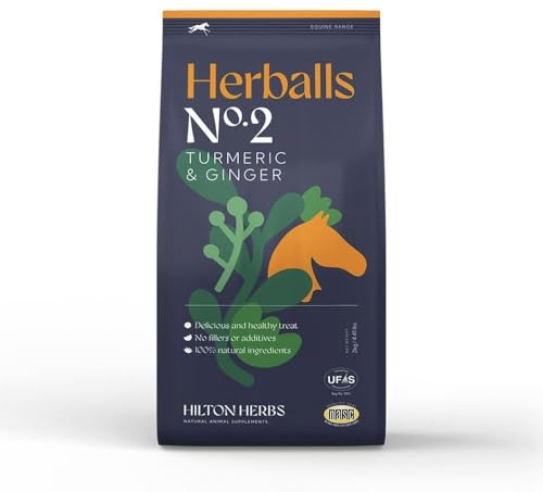 Hilton Herbs Herballs - Turmeric & Ginger