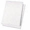 Lot de 2 tampons de polissage V1rtus pour peinture blanche - Pour une utilisation avec additifs pour peinture Hemway à paillettes - Libèrent des milliers de paillettes en plus