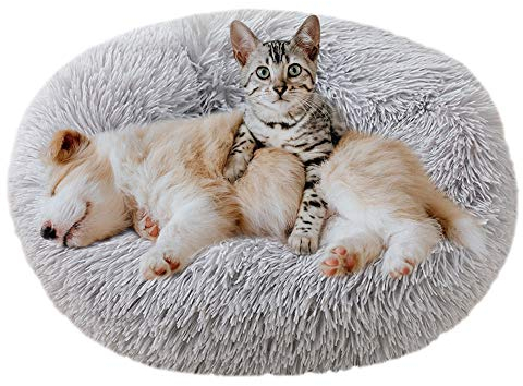 Eastlion Haustierbett Rund Plüsch,Hundebett Donut Kissen Warme Flauschig Weich,Schöne Katzenbett Waschbar Schlafen Bett für Welpen Katzen Hunde,Groß (Hellgrau,S:70CM)