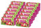 Teekanne Beerenzauber / 12er Pack