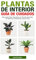 Plantas de Interior Guía de Cuidados: Descubre Cómo Mantener tus Plantas Naturales en Óptimas Condiciones Todo el Año